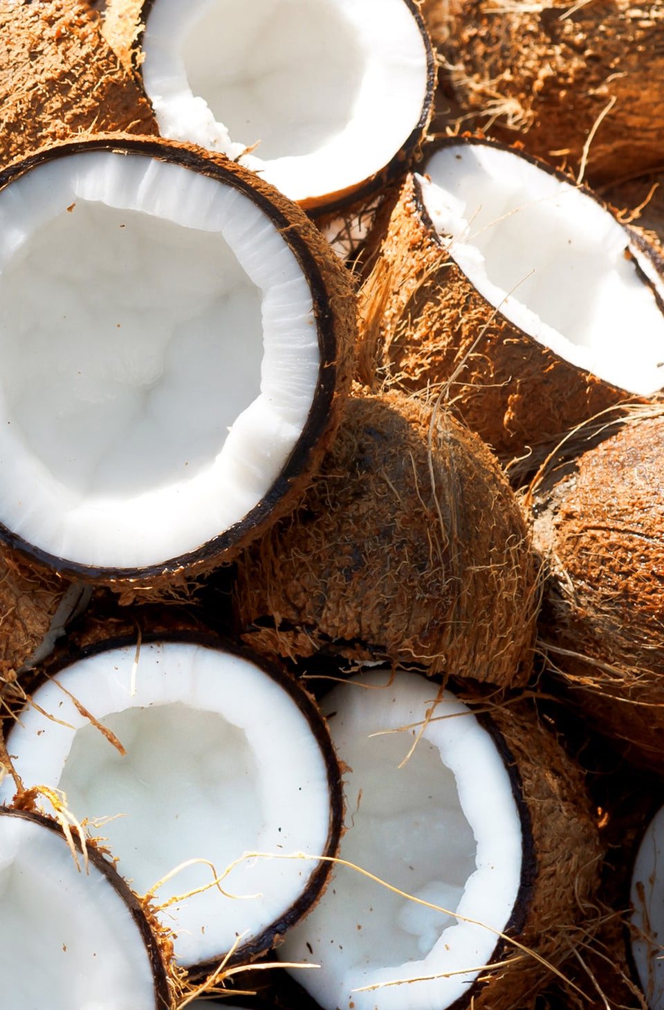 Khadi Coconut active ingredient