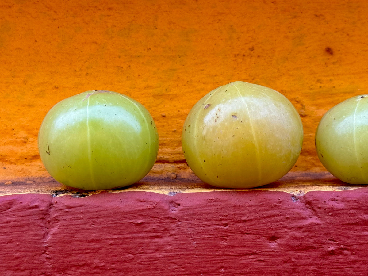 The Power of Amla