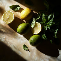 Lemon Lime Body Wash Travel Size