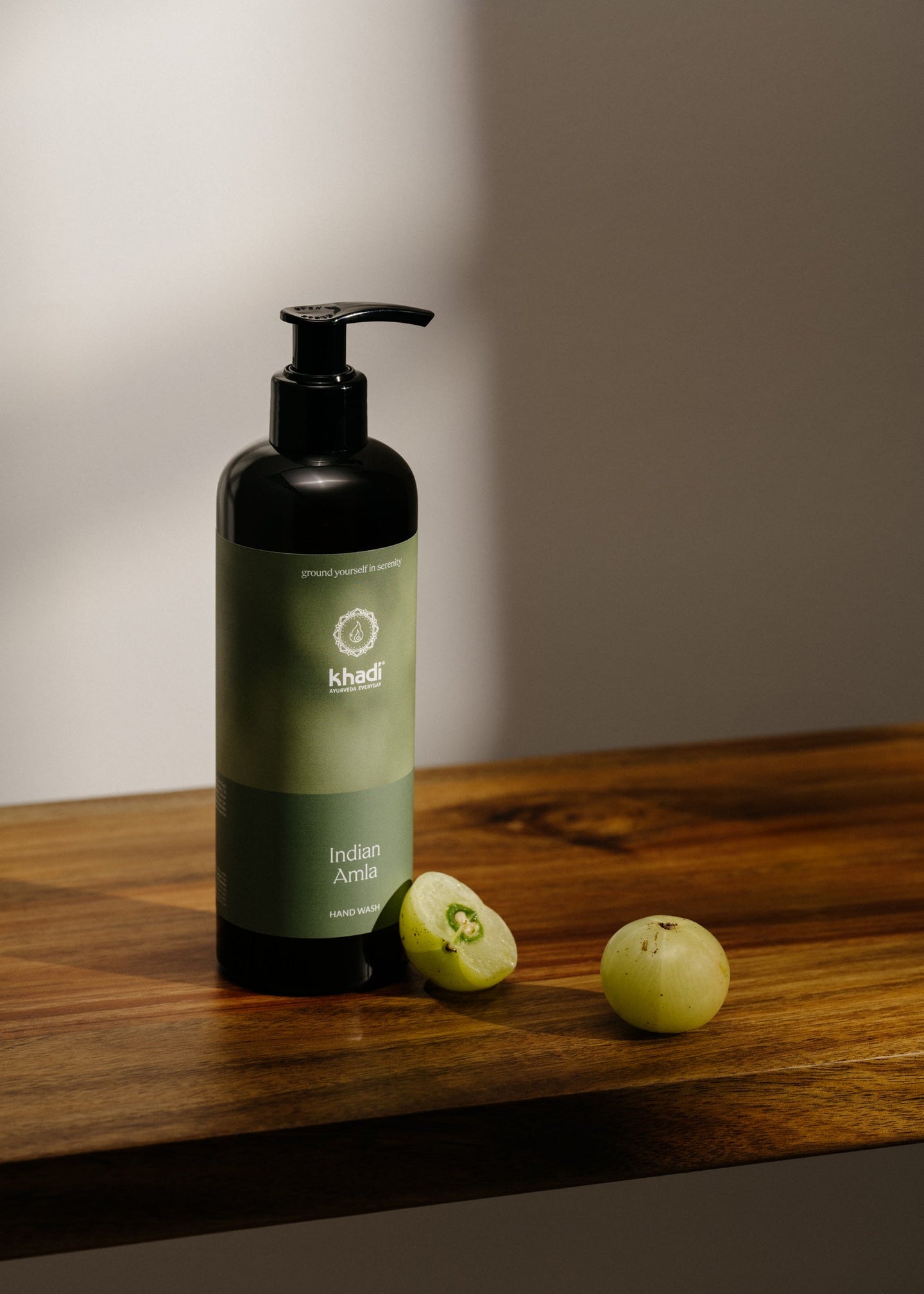 Creative representation of Ayurveda Everyday Indian Amla Hand Soap – Ayurvedic hand care for freshness and purity.