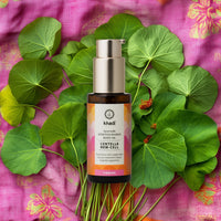 Shakti Shape Bundle