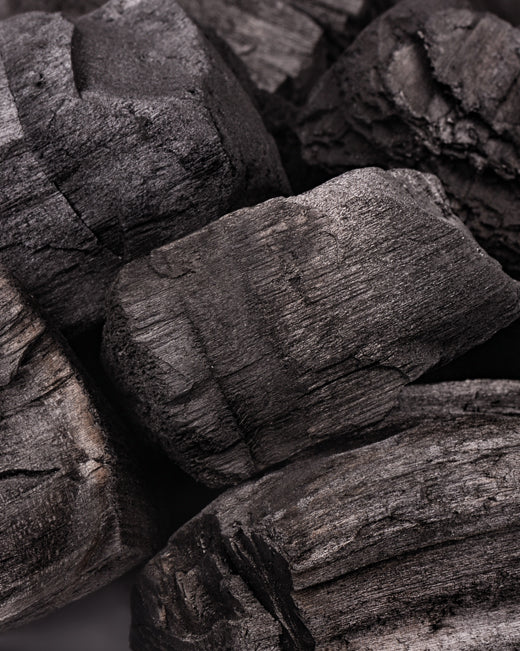 Charcoal Complex – deep-cleansing hair care by khadi
